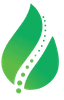 BrainHeal Logo