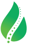 BrainHeal Logo